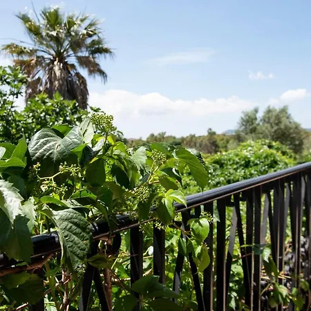 Casa de hóspedes Le Calle