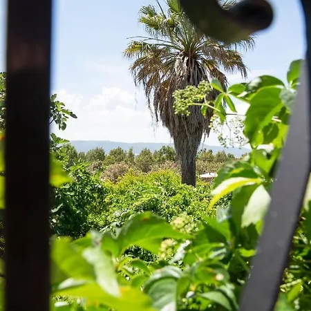 Le Calle 4* Iglesias