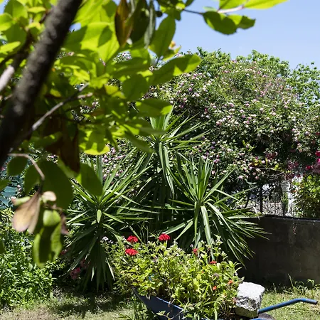 Le Calle בית הארחה 4*