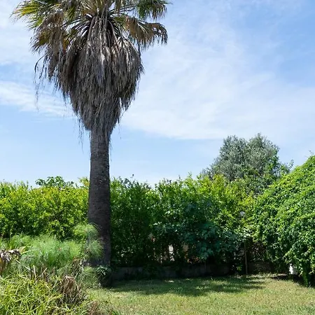 Guest house Le Calle Iglesias