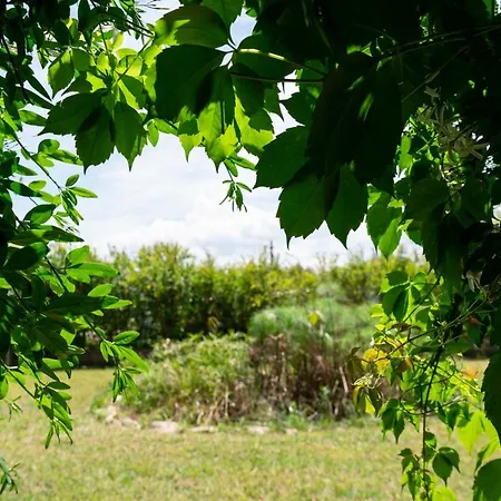 بيت ضيافة Le Calle 4*