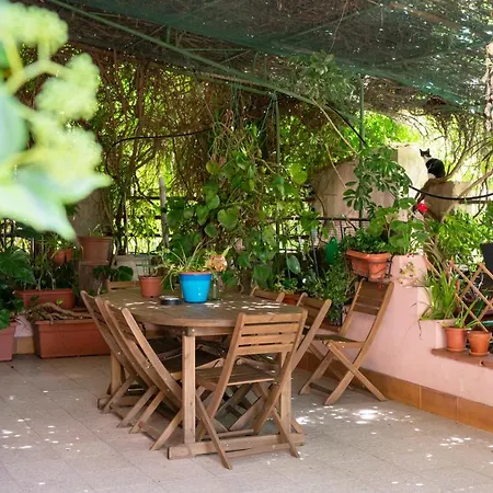 Le Calle إيغليزياس