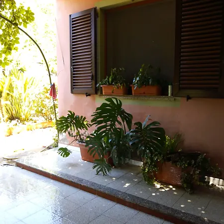 Le Calle إيغليزياس