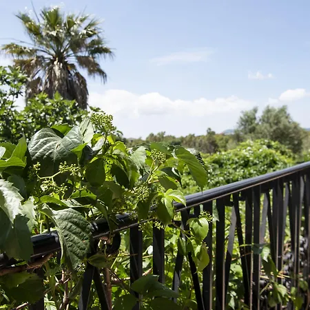 Pensión Le Calle