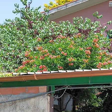 Maison d'hôtes Le Calle Iglesias