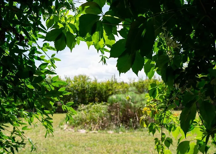 Guest house Le Calle 4*