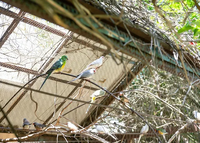 Le Calle 4* Iglesias