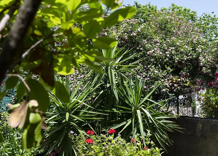 Le Calle Guest house 4*