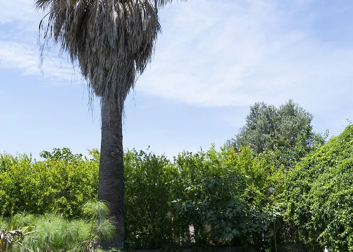 Le Calle Guest house Iglesias