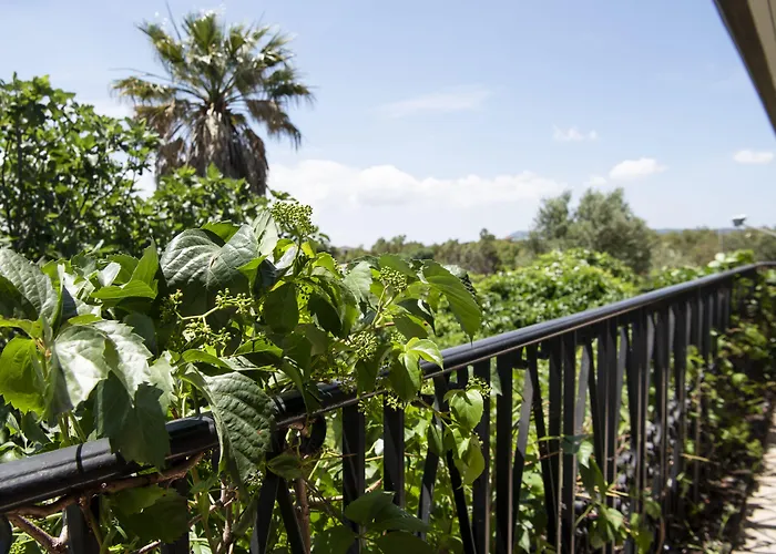 Guest house Le Calle